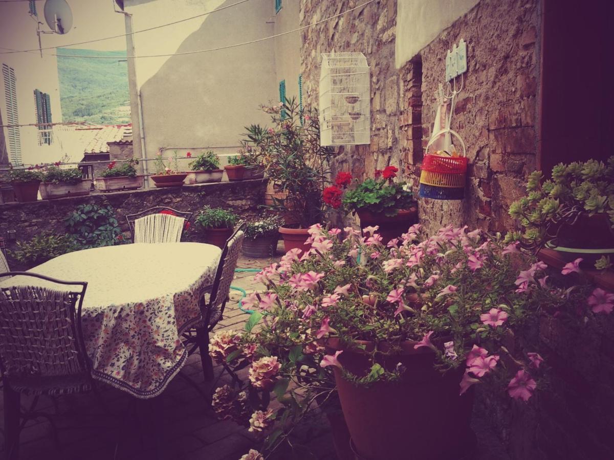 Apartmán Dimora Toscana Seggiano Exteriér fotografie