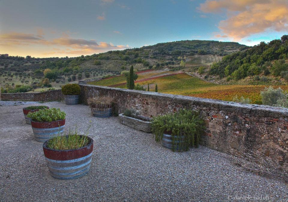 Apartmán Dimora Toscana Seggiano Exteriér fotografie
